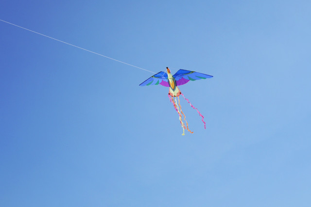 kite1