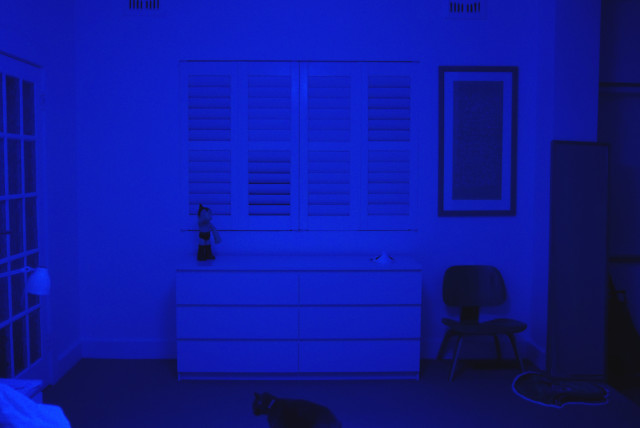 blueroom