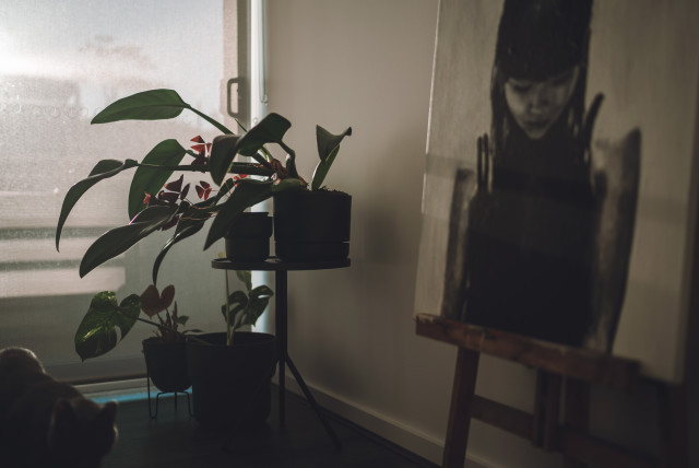 bedroom_plants