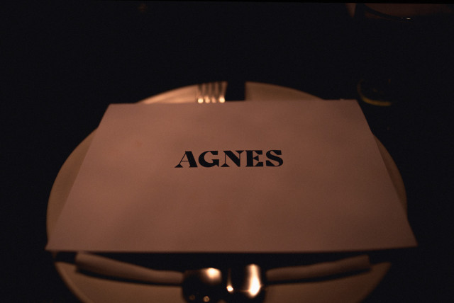 02_agnes