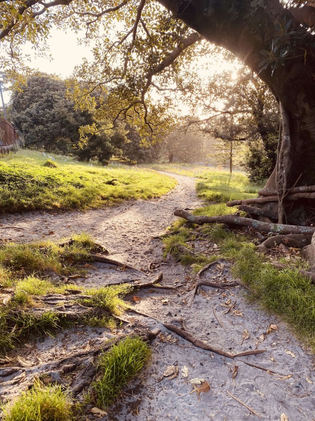 553109095_1094537876227398_6072587191534932745_n