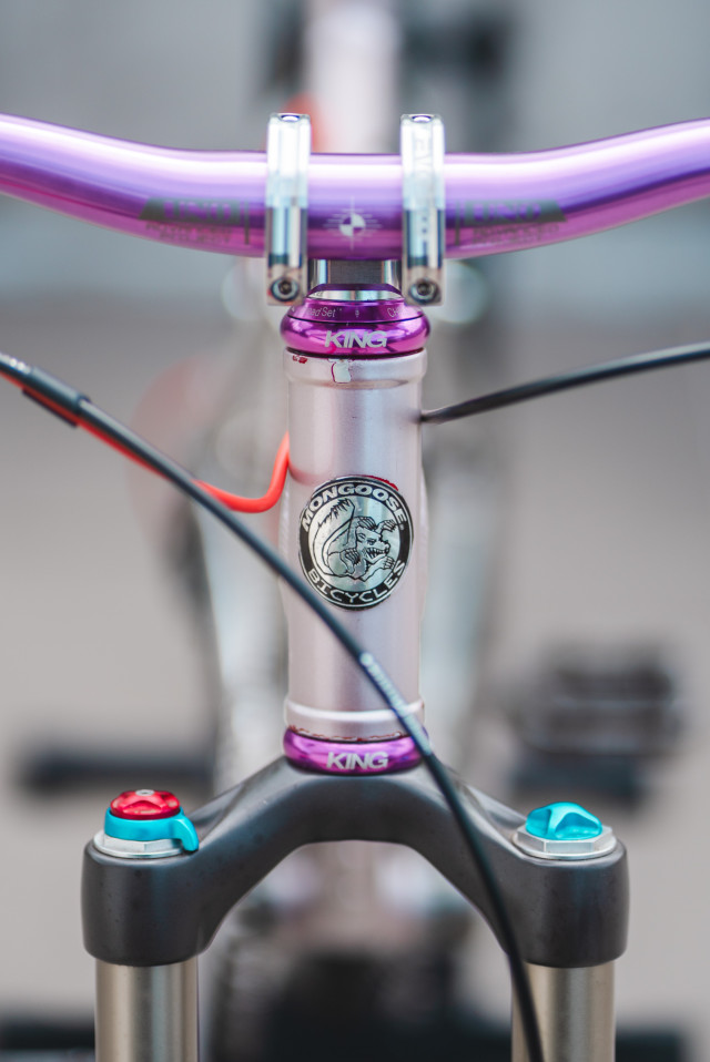 06_mongoose_1998_nx85