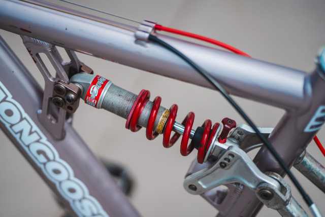 15_mongoose_1998_nx85