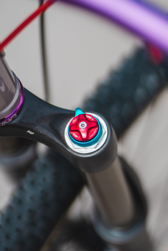 17_mongoose_1998_nx85