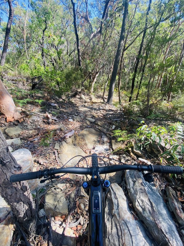 628209309_10162022404530009_3781162937836408419_n