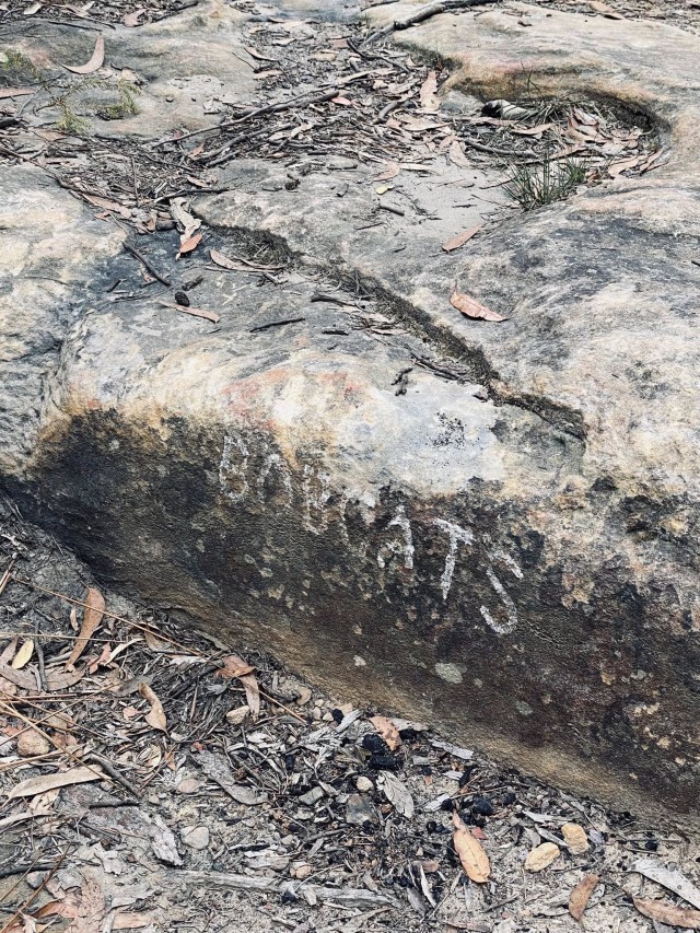 632401367_10162059075475009_8564855645771156669_n