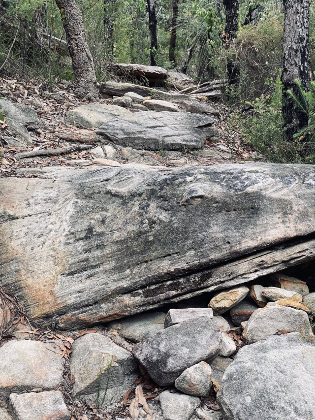 632655294_10162059242660009_3594649273642631702_n