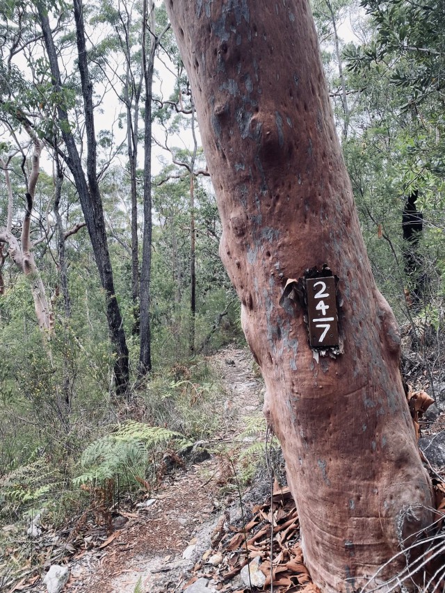 633757380_10162059076145009_7573257545954445717_n