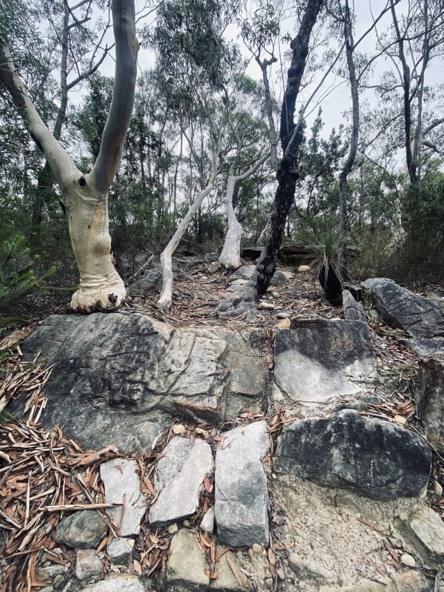 633782438_10162059242680009_7472928965405823017_n