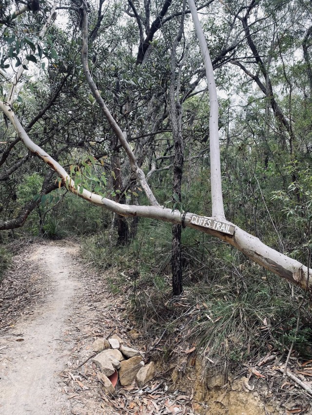 635081162_10162059076020009_869764695030168228_n