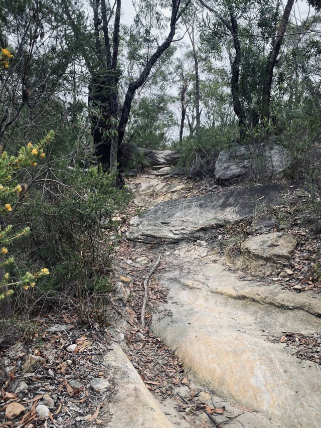 635143773_10162059242425009_5470820048220472551_n