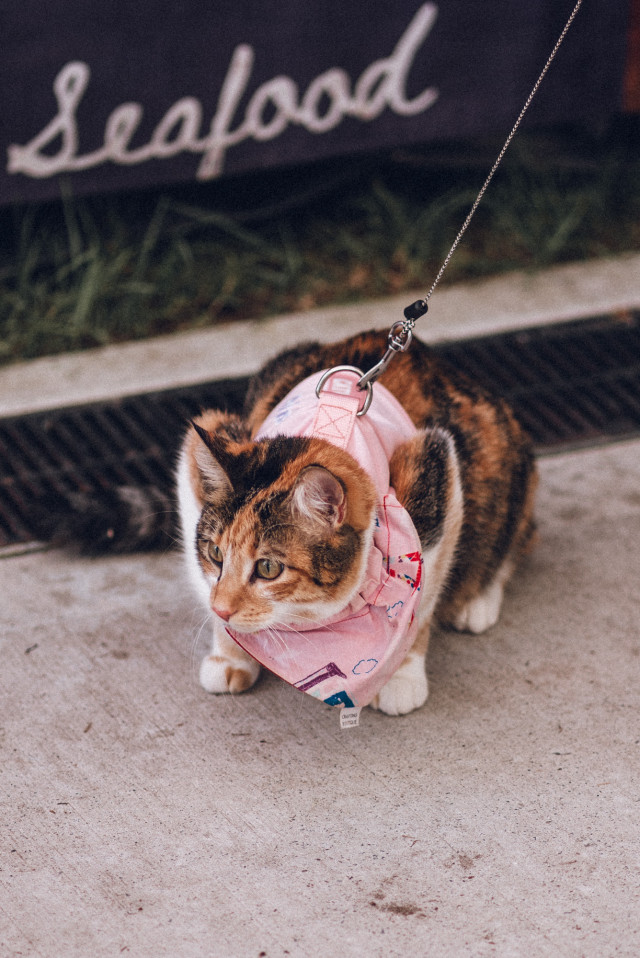 09_revolve_heffron_markets