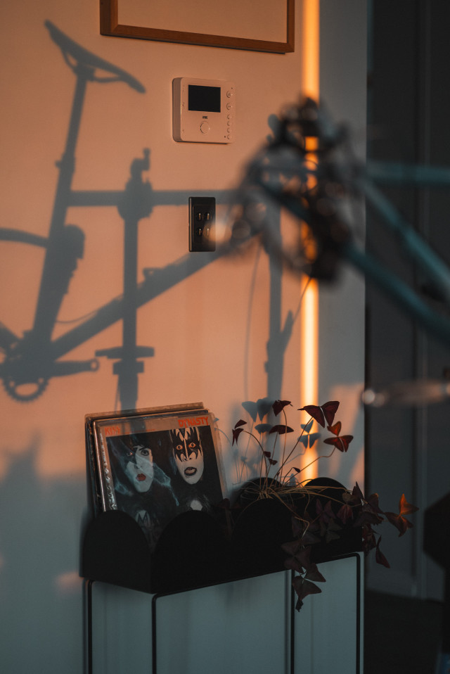 murmur_shadow