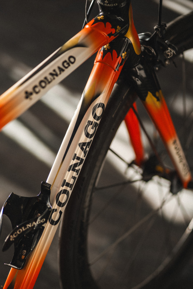 colnago_art_decor_1